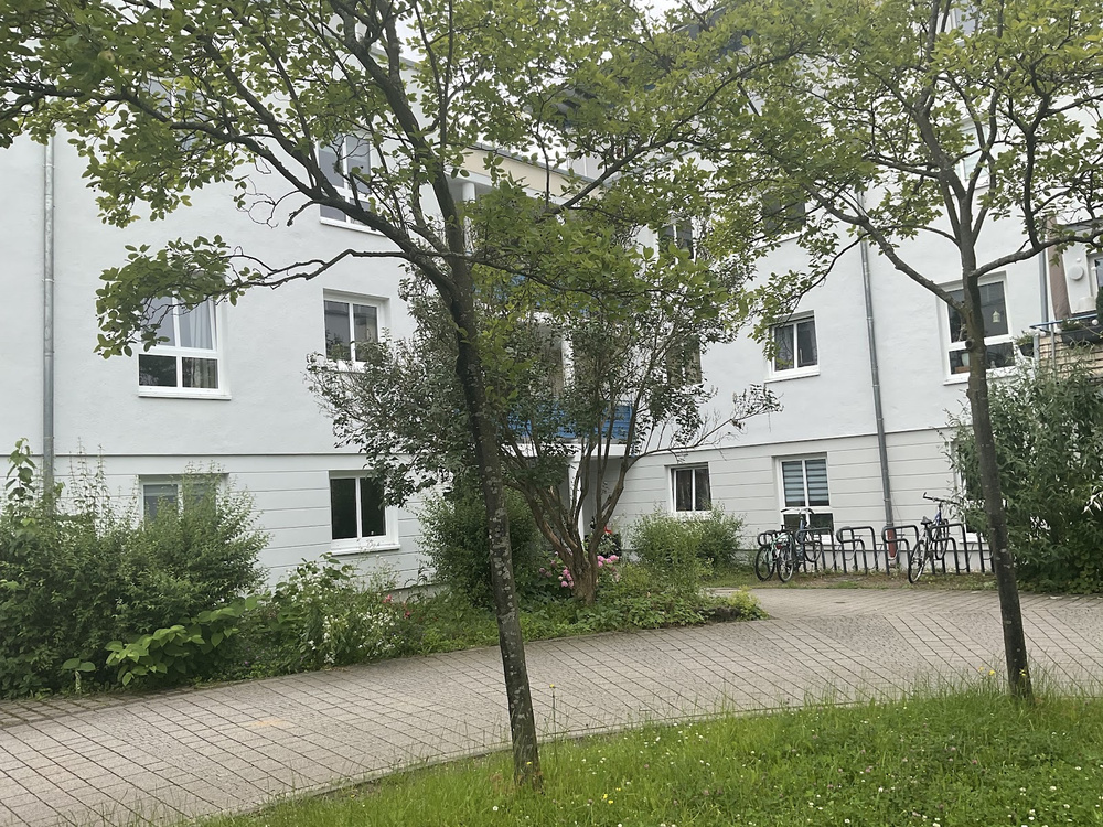 Kämpfrasen 12 6