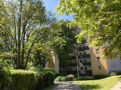 Gemütliche Wohnung sucht Nachmieter!