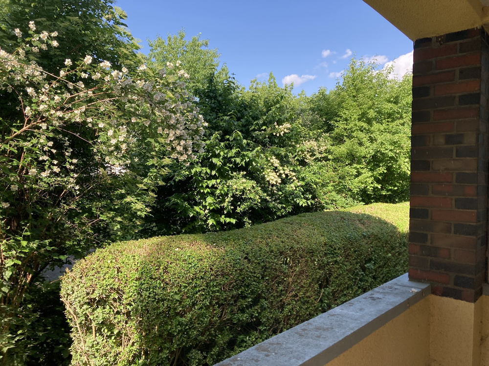 Blick von Balkon 2