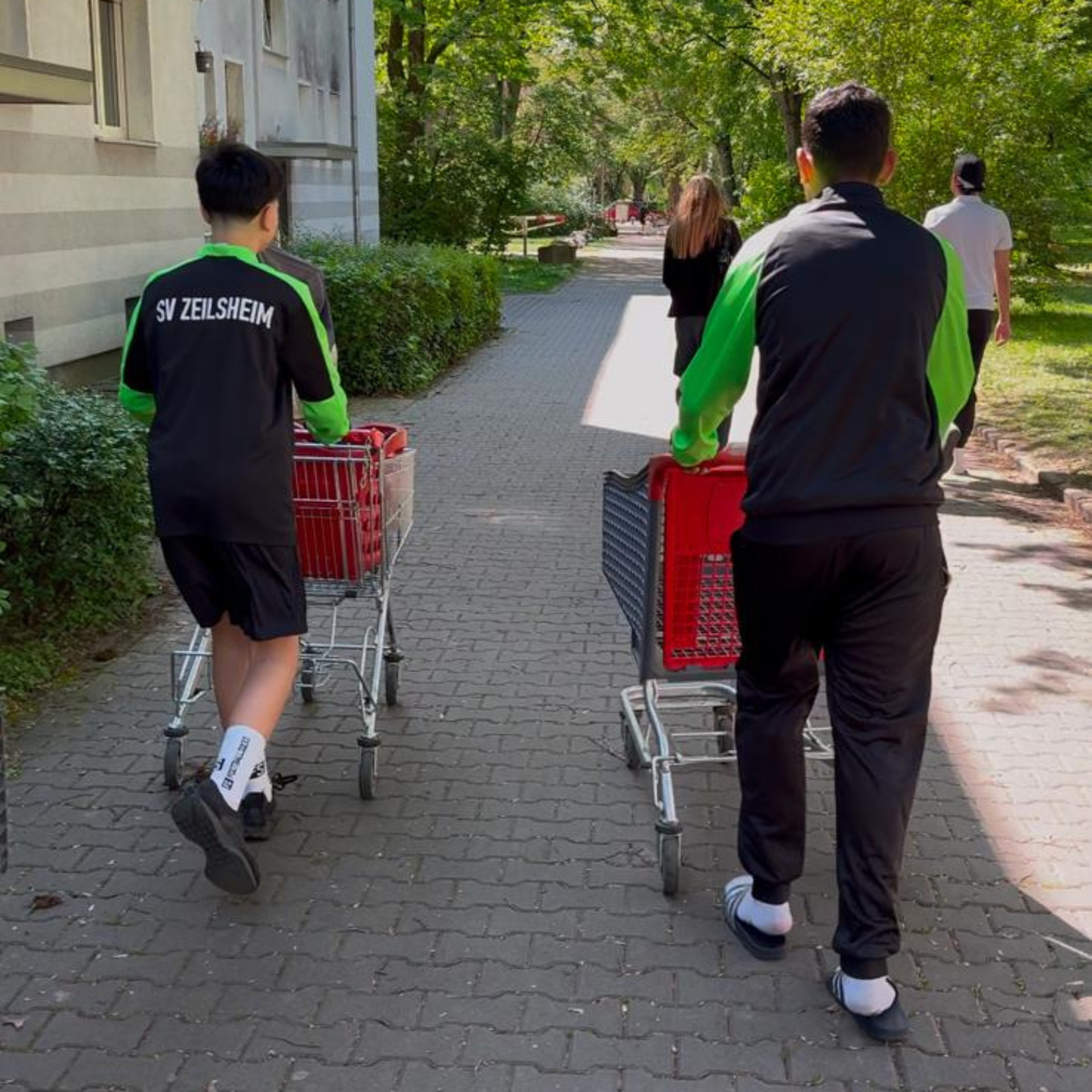 Zwei Jugendliche von hinten die zwei Einkaufswagen durch eine Straße schieben