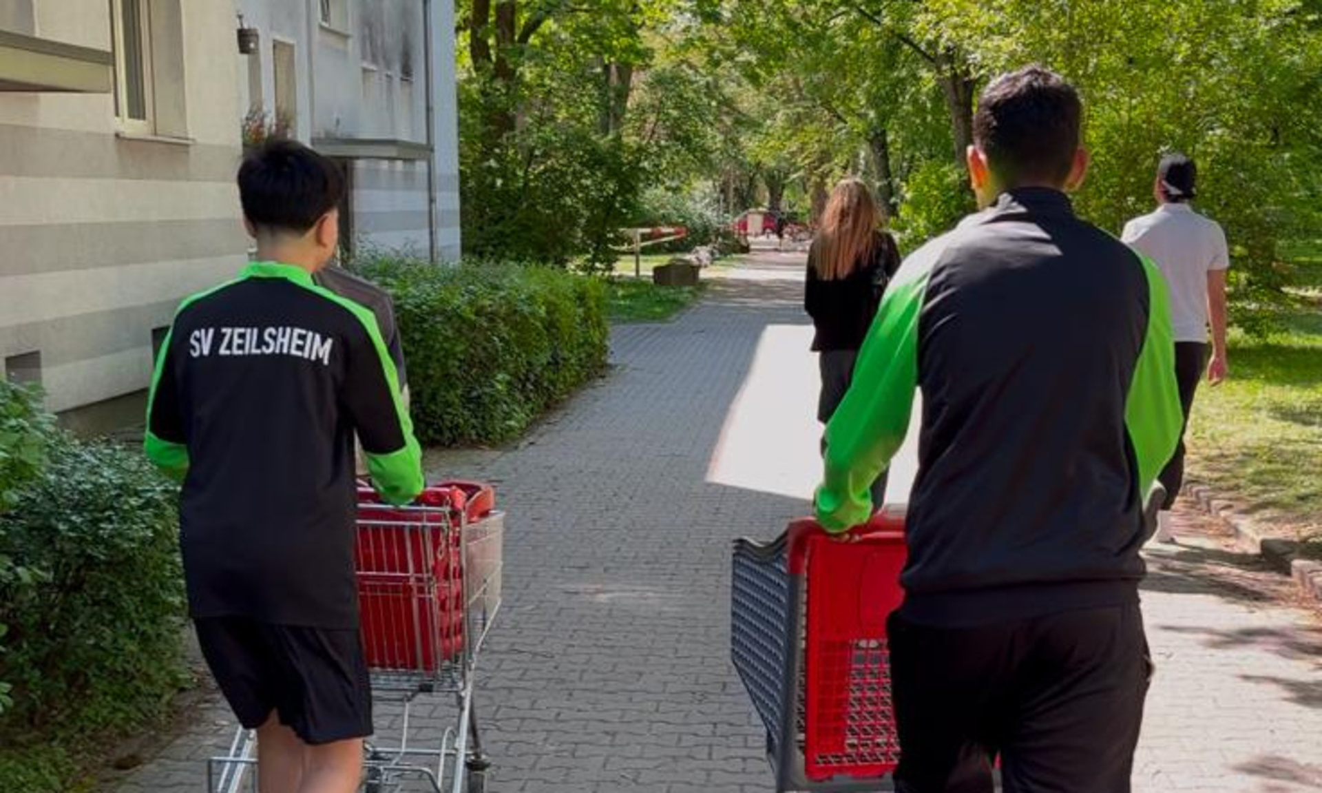 Zwei Jugendliche von hinten die zwei Einkaufswagen durch eine Straße schieben