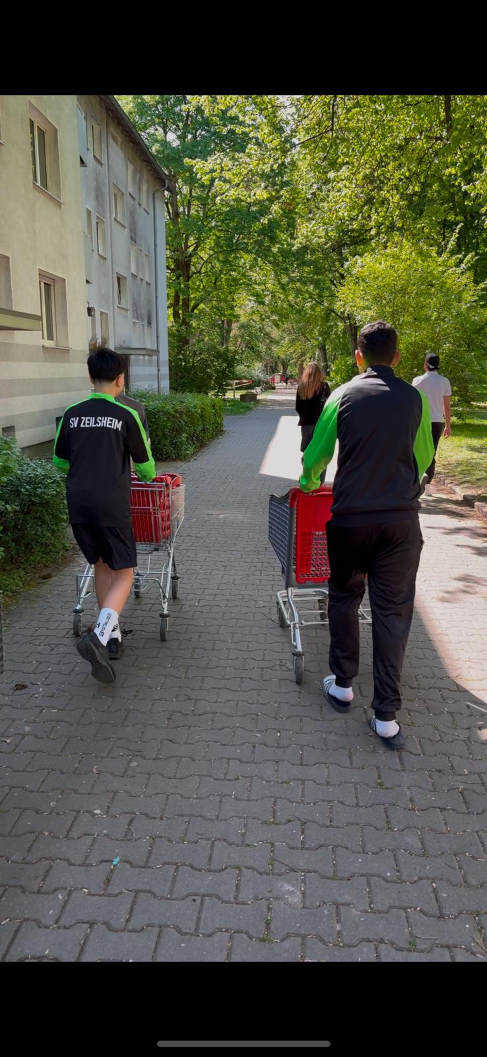 Zwei Jugendliche von hinten die zwei Einkaufswagen durch eine Straße schieben