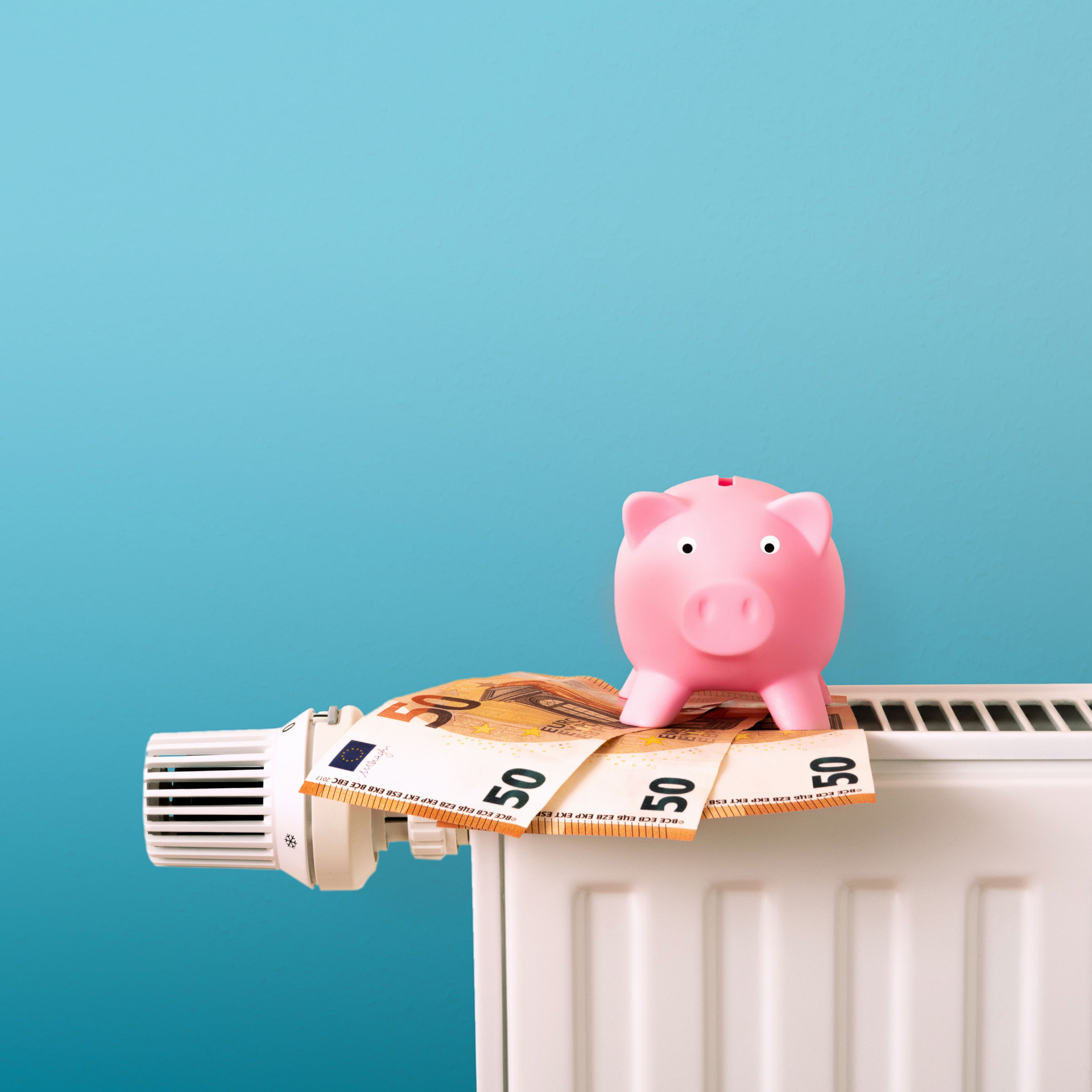 Zu sehen ist ein Heizkörper auf dem ein rosa Sparschwein steht und drei 50€ Scheine liegen.