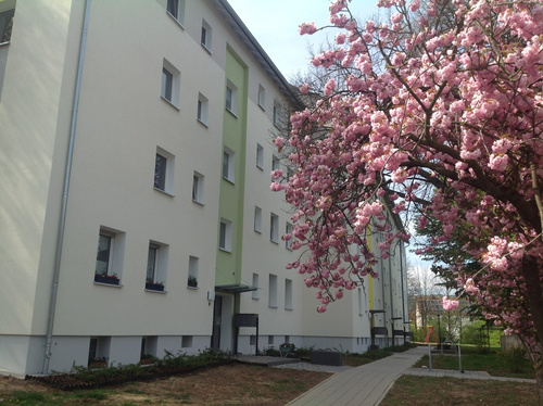 Zum Wohlfühlen - 2-Zimmer-Wohnung mit Balkon!