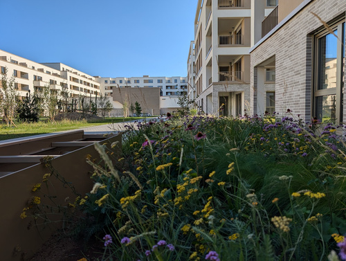 Moderne 2 Zimmer Wohnung mit offener Küche in Darmstadt