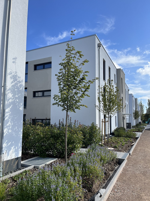 Moderne 3-Zimmer-Erdgeschosswohnung mit Gartenanteil