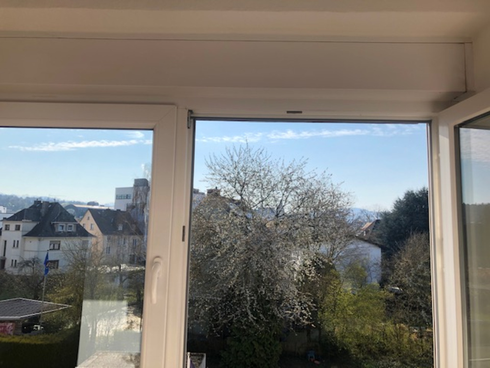 Ausblick