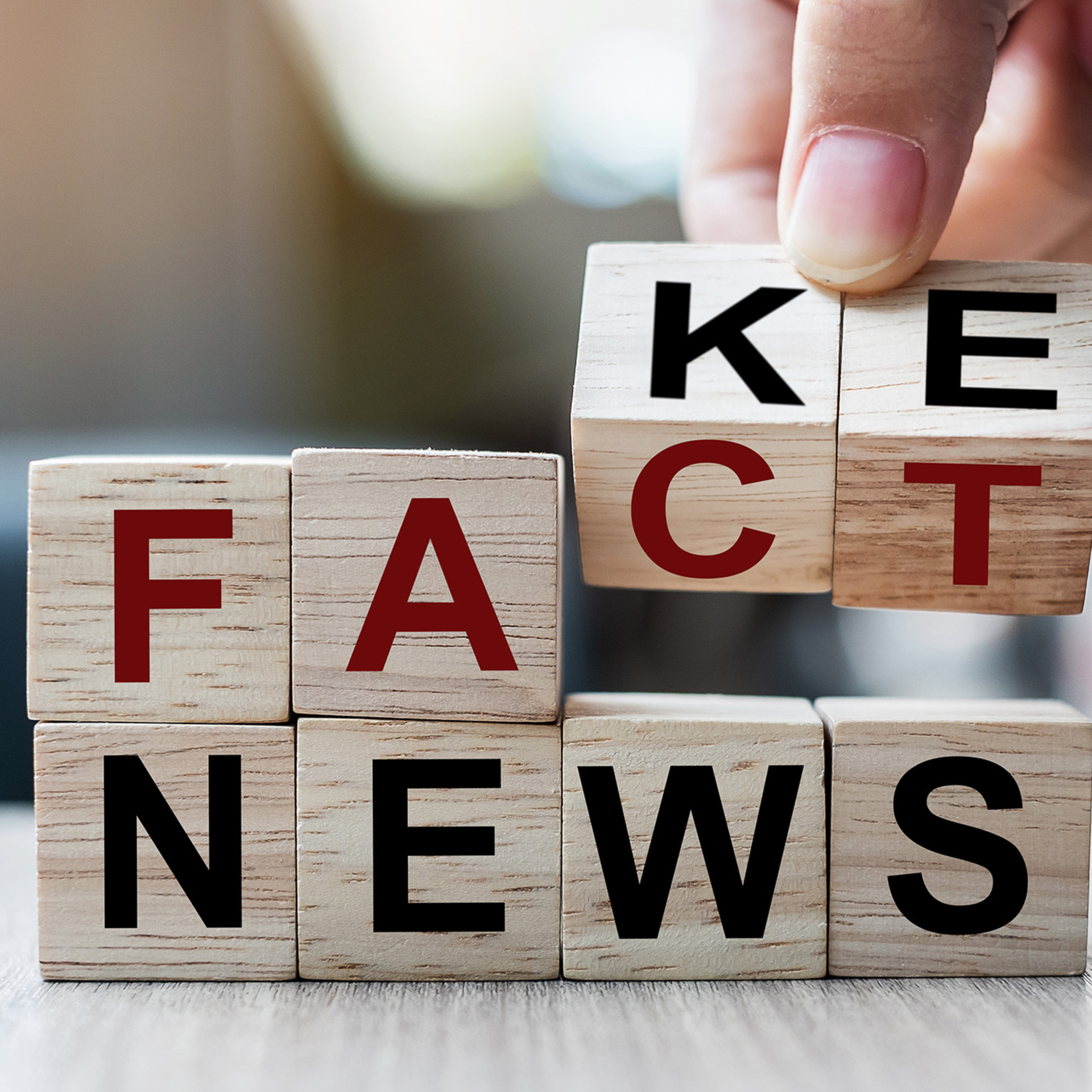 Bausteine mit einzelnen Buchstaben drauf. Die Bausteine mit der Baustein mit dem Buchstaben C kann auf K gedreht werden, ebenso der Buchstabe T auf ein E. Die Bausteine ergeben so entweder "Fake News" oder "Fact News".