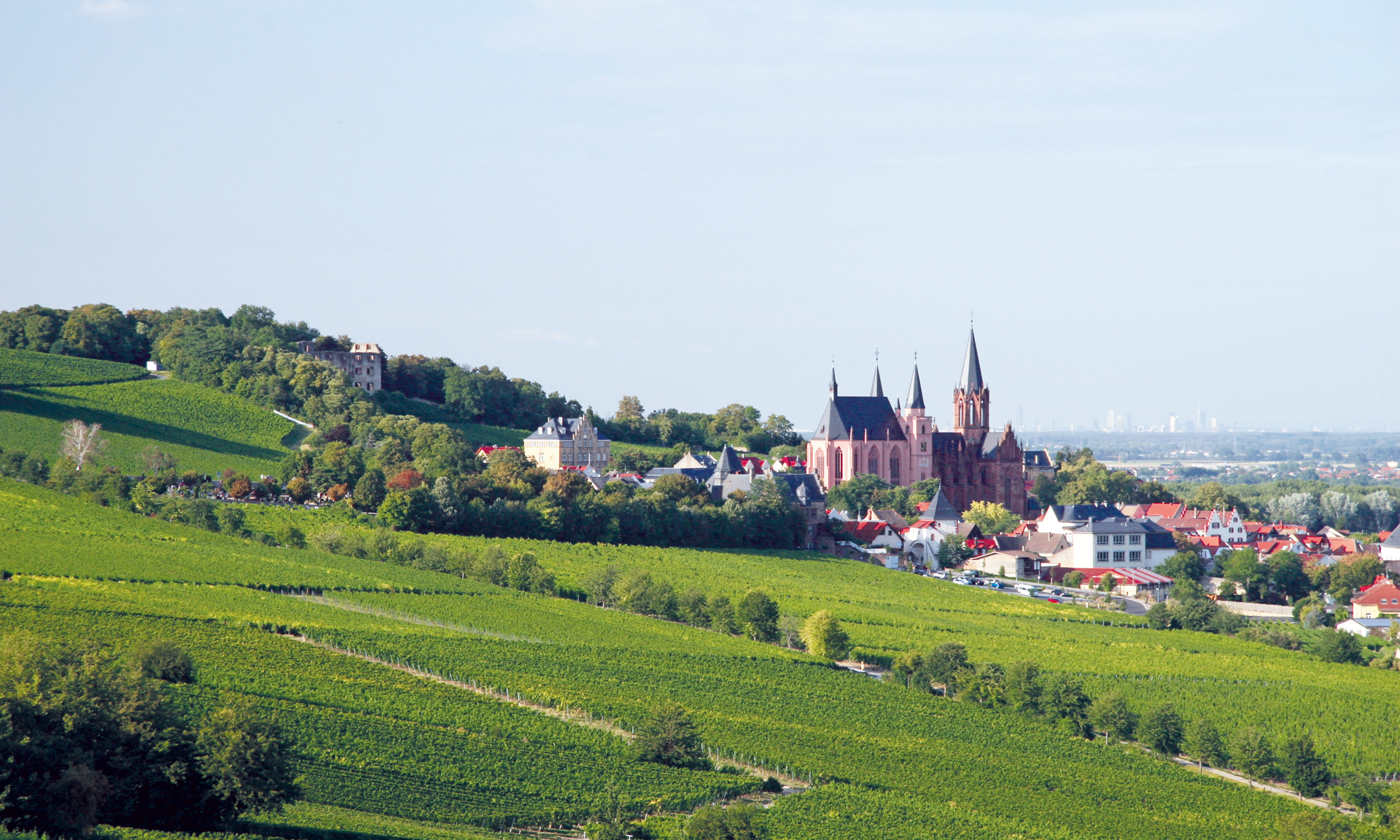 Foto: iStock.com