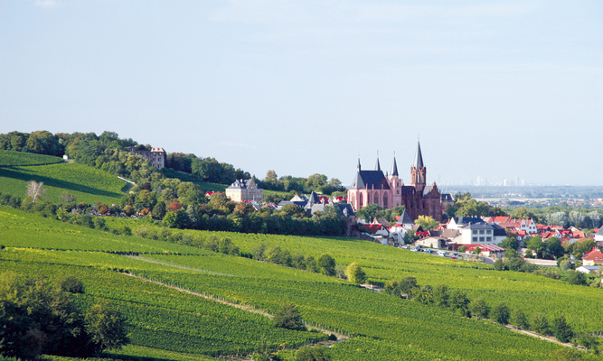Foto: iStock.com