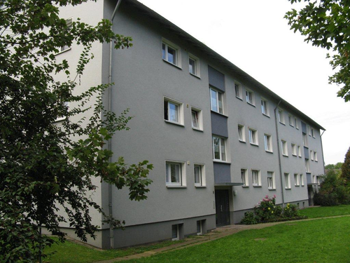 Hier könnte Ihr neues Zuhause warten