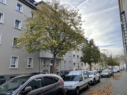 Wohnambiente, das einfach passt!