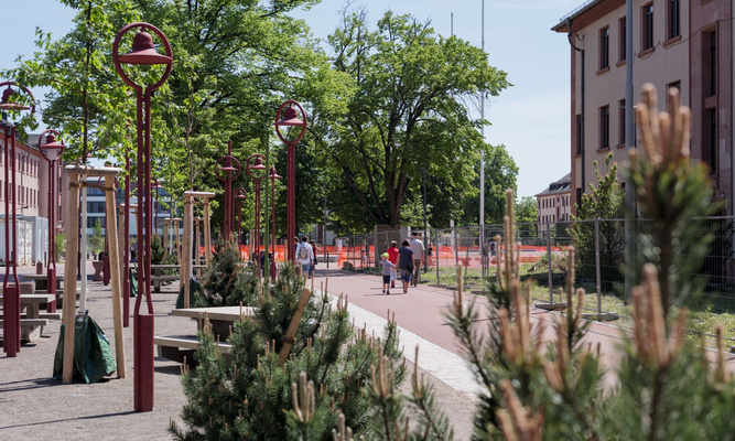 Park mit Bäumen.