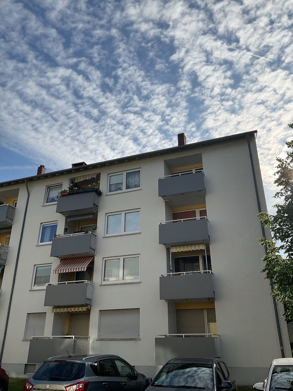 Rückseite