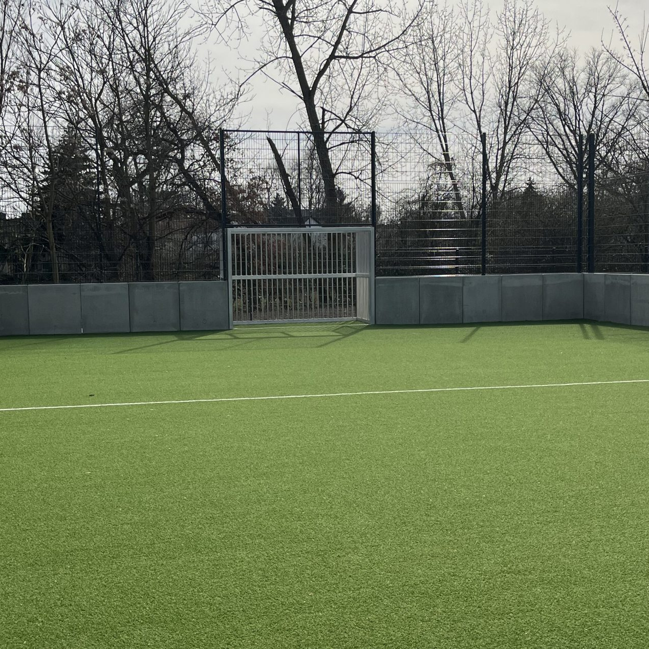 Das neue Fußball-Kunstrasenfeld in Frankfurt-Nied