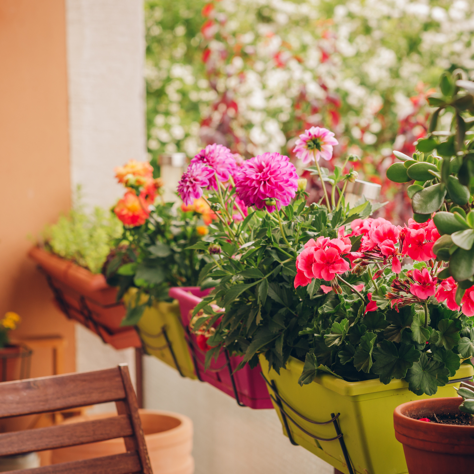 Bunte Blumen blühen in Balkonkästen