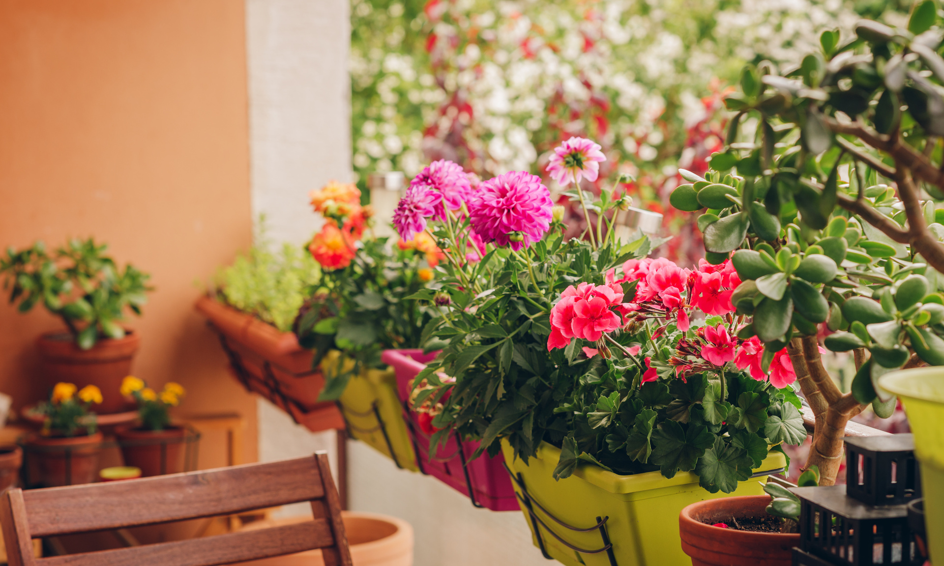 Bunte Blumen blühen in Balkonkästen