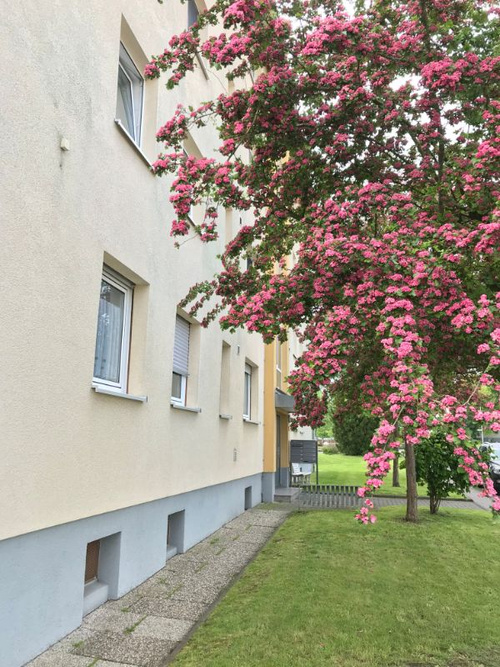 Gemütliche 2-Zimmer-Wohnung mit Balkon in Baunatal-Großenritte
