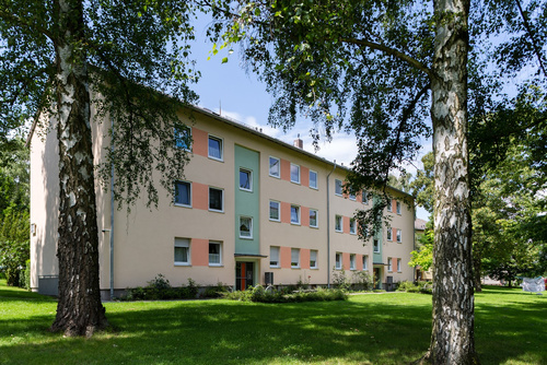 Hier könnte Ihr neues Zuhause warten!