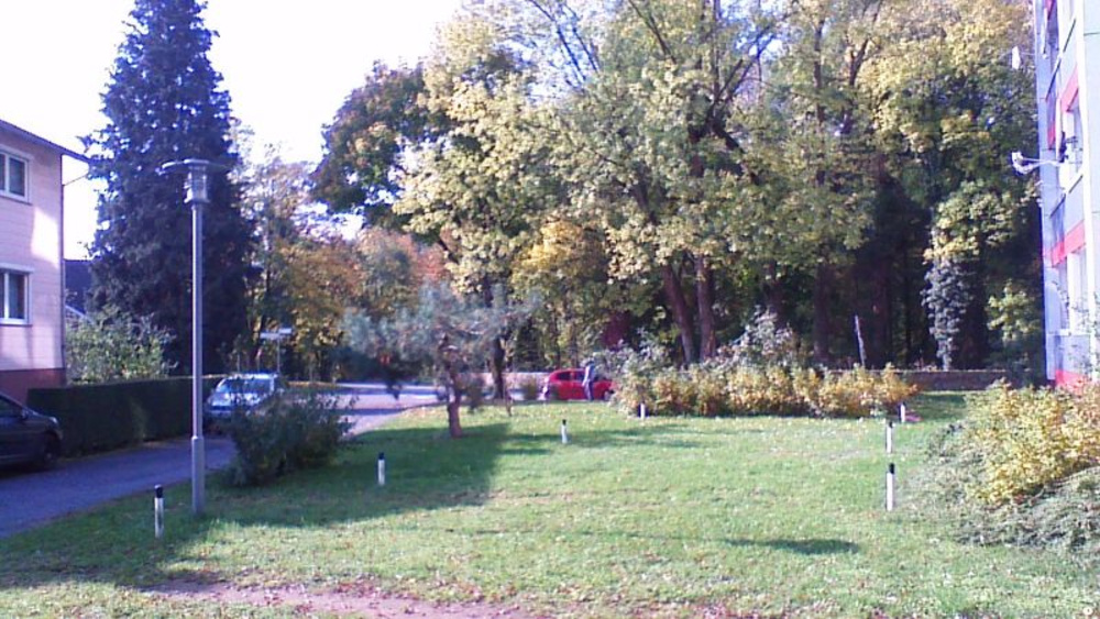 Grünanlage