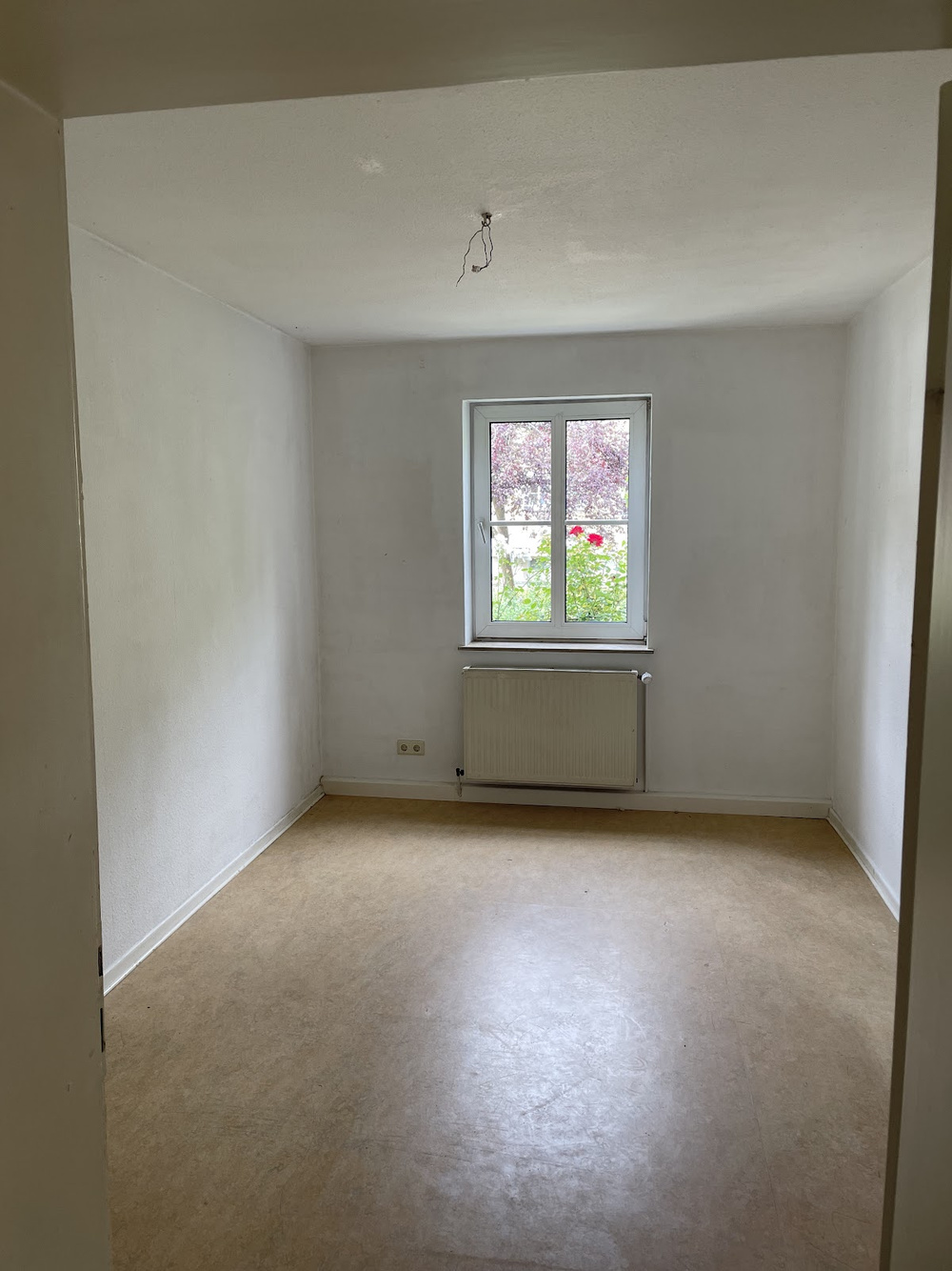 Zimmer 3