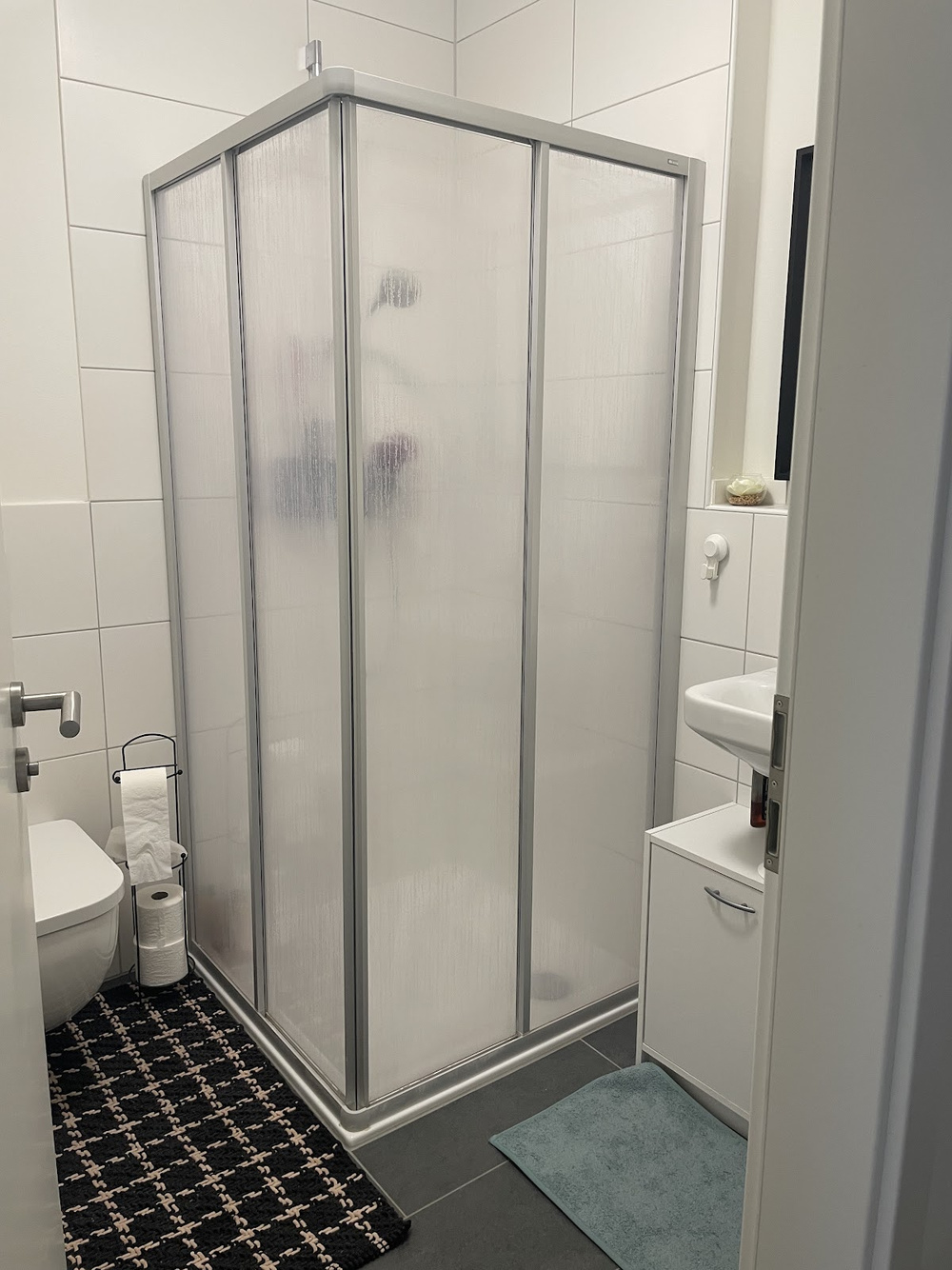 Gäste-WC mit Dusche