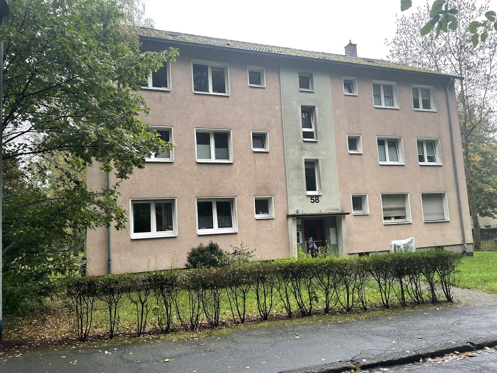 Ginseldorfer 58 4