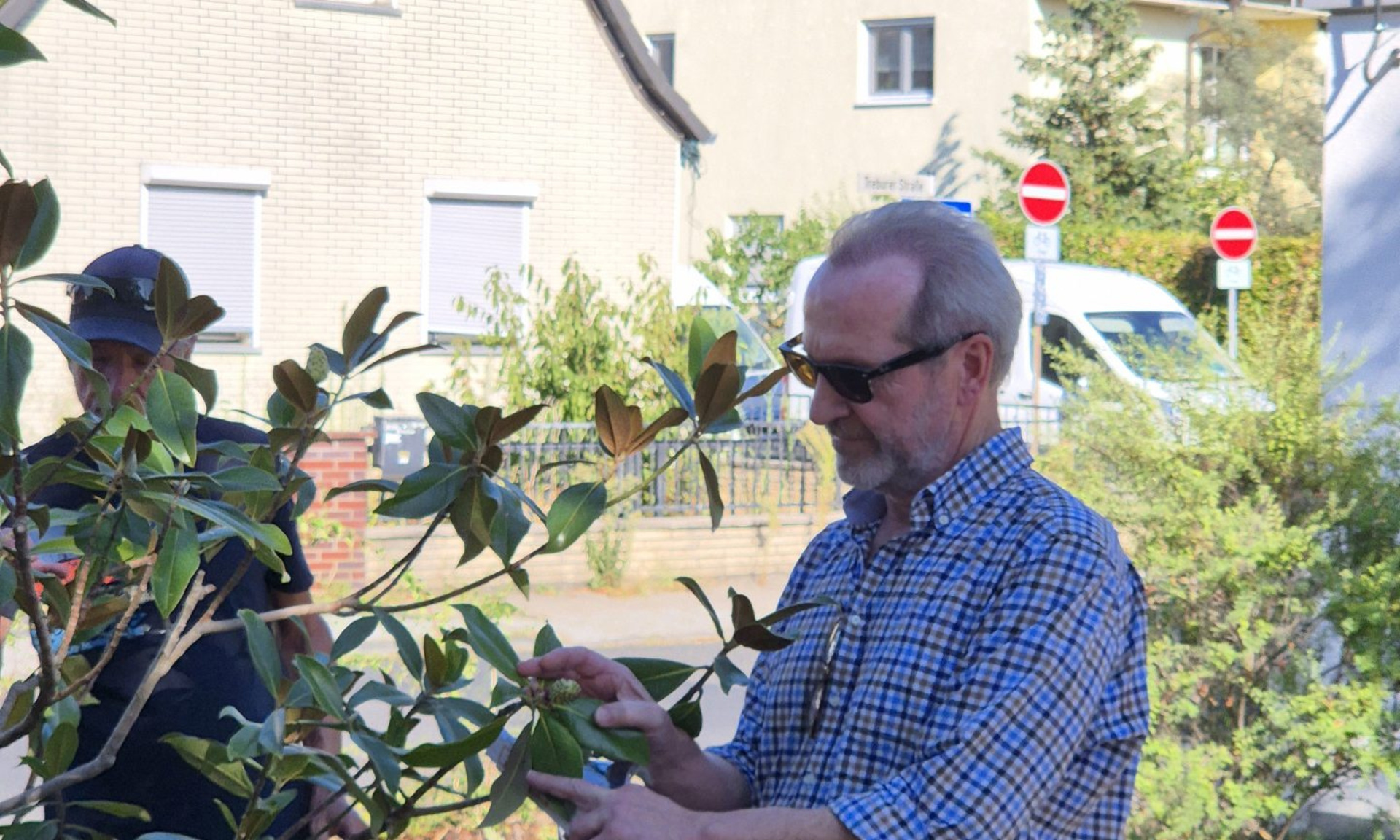 Zwei Männer begutachten einen Baum