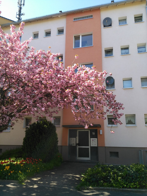 Gepflegte 3-Zimmer-Wohnung mit Balkon in Wiesbaden-Biebrich
