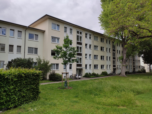 Praktisch geschnittene 2-Zimmer-Wohnung mit Keller für Singles und Paare