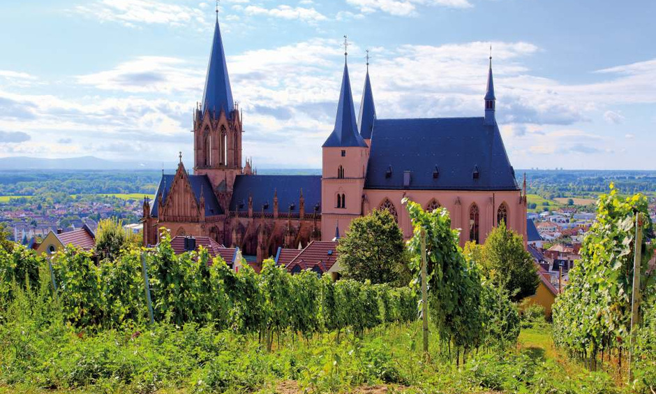 Im Vordergrund Weinberge, dahinter große, alte Katharinenkirche