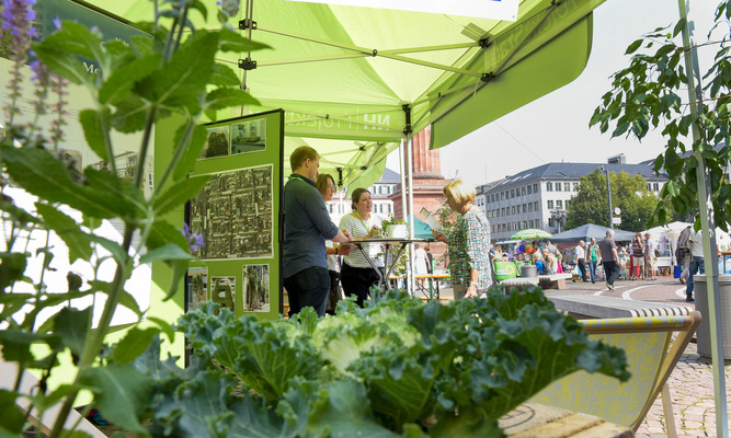 ProjektStadt in Darmstadt