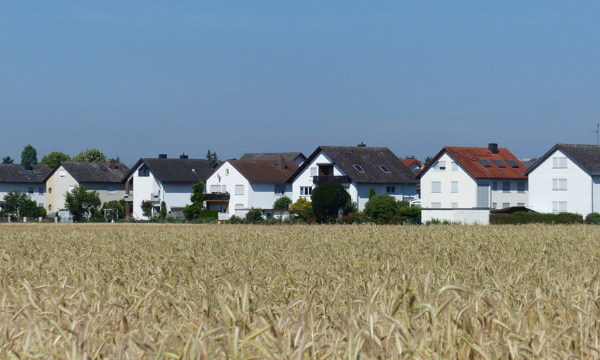 Eselswiese Rüsselsheim