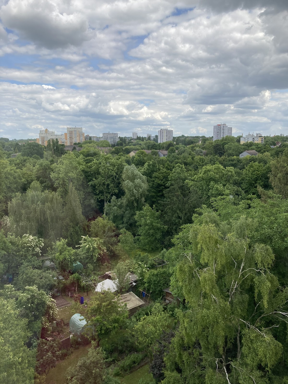 Ausblick
