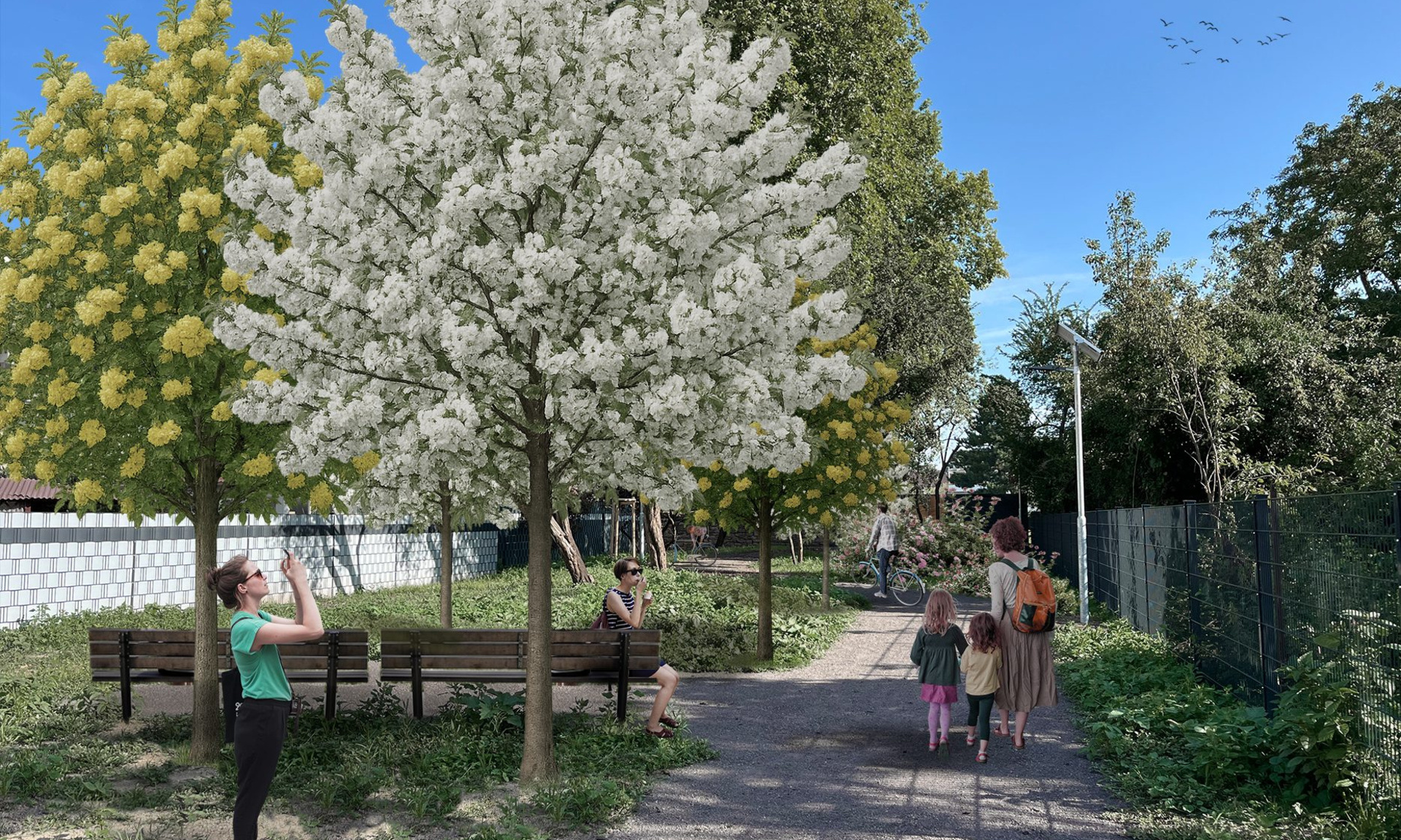 Weg mit blühenden Bäumen