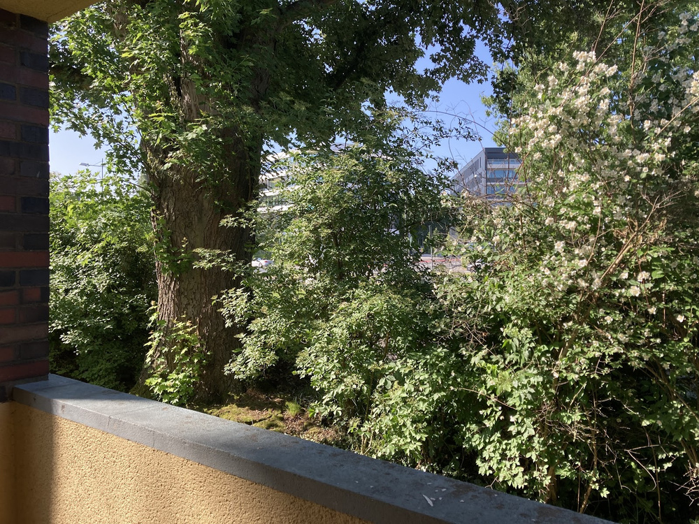 Blick von Balkon 1