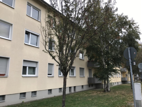 2-Zimmer-EG-Wohnung mit Balkon in Frankfurt-Unterliederbach