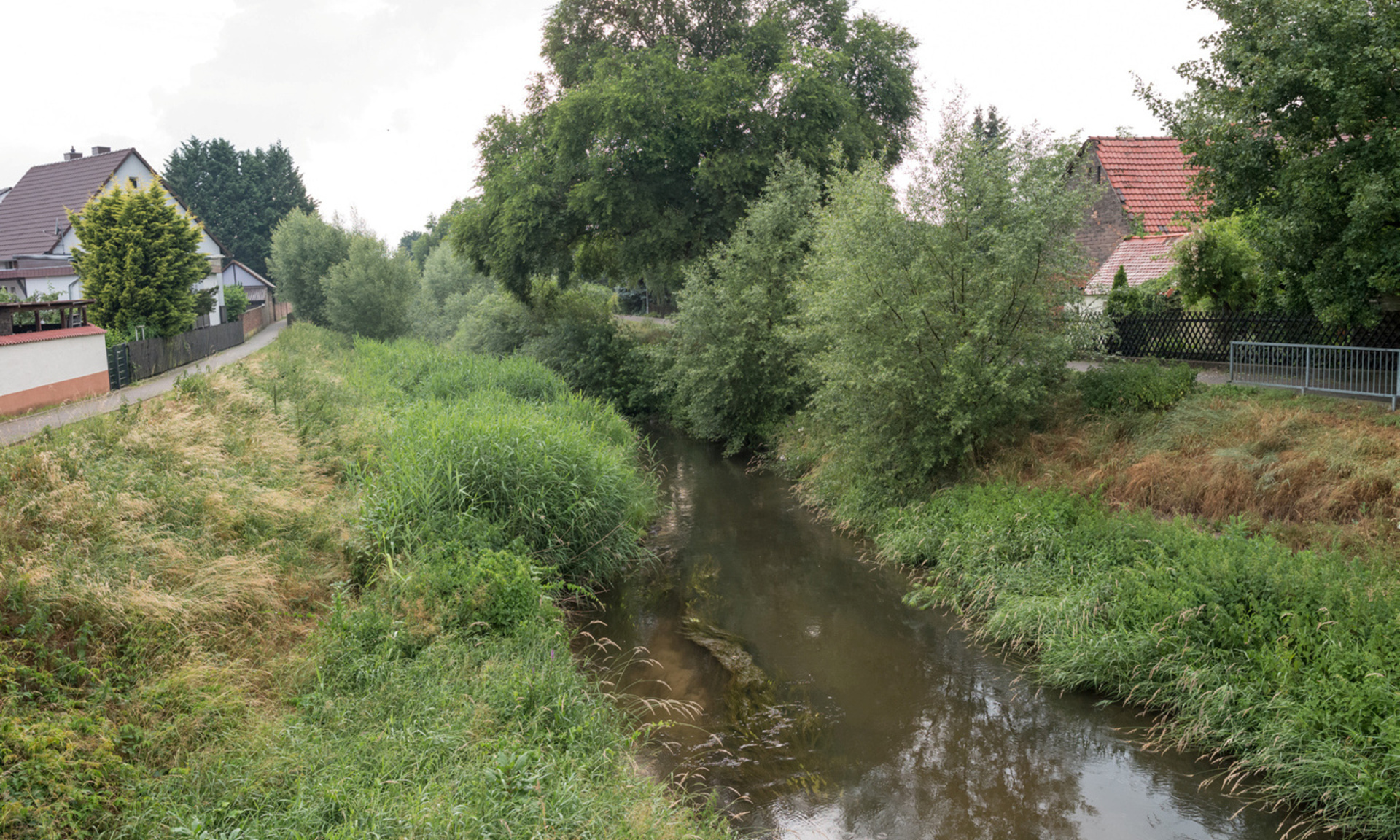 Weschnitz in Einhausen