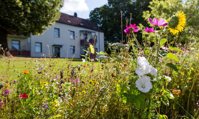 Foto: Karsten Socher