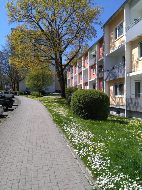 3 Zimmer Wohnung mit Balkon und Keller in Wiesbaden Biebrich