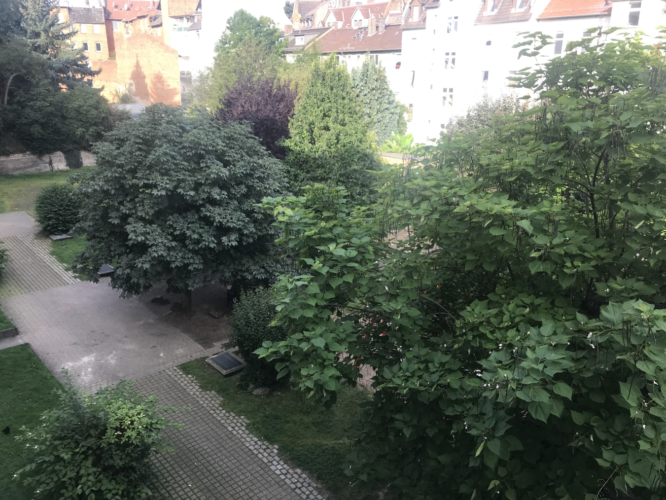 2-Zimmer-Wohnung im Dachgeschoss mit Balkon und Aufzug - Foto 2