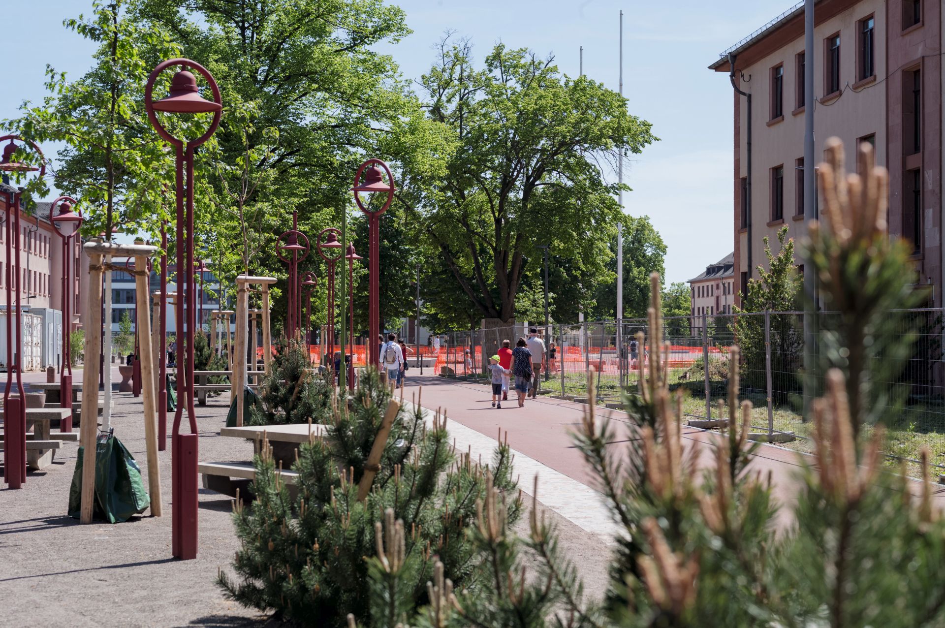 Park mit Bäumen.